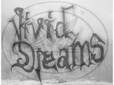 logo Vivid Dreams
